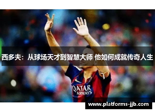 西多夫:从球场天才到智慧大师 他如何成就传奇人生 西多夫:从球场天才到智慧大师 他如何成就传奇人生