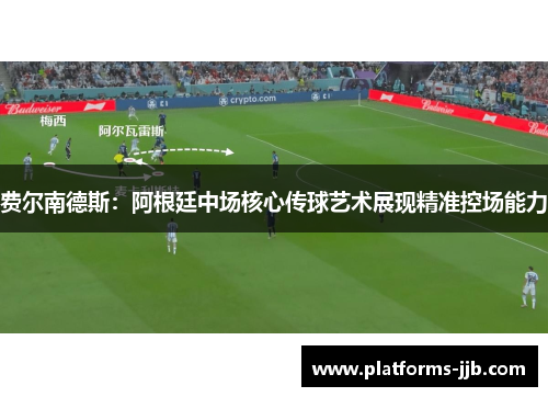 费尔南德斯：阿根廷中场核心传球艺术展现精准控场能力