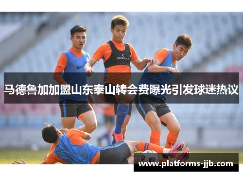 马德鲁加加盟山东泰山转会费曝光引发球迷热议